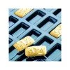 Financiers Flexipan - Moule Silicone -pavoni shop financiers flexipan moule silicone