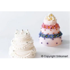 MALLARD FERRIERE Moule 6 Dômes à Etages En Silicone -pavoni shop moule 6 domes a etages en silicone 2