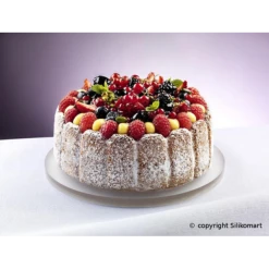 MALLARD FERRIERE Moule à Charlotte Silicone 180 Mm X H 60 Mm Silikomart -pavoni shop moule a charlotte en silicone 180x160mm 1