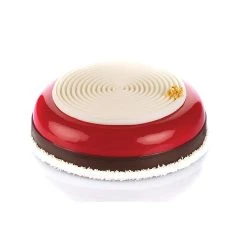 Moule Silicone 2 Tourbillons 100ml Grand Modèle Silikomart Professional -pavoni shop moule silicone 2 tourbillons 100ml grand modele silikomart professional 4