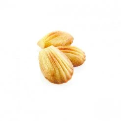 Moule Silicone 78 Madeleines 4,65 X 3,3 X 1,45 Cm 11ml SilikoMart Professional -pavoni shop moule silicone 78 madeleines 465 x 33 x 145 cm 11ml silikomart professional 1