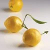 Moule Silicone 8 Citrons 85 Ml Cédric Grolet Pavoni -pavoni shop moule silicone 8 citrons 85 ml cedric grolet pavoni