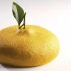 Moule Silicone Citron 1215 Ml Cédric Grolet Pavoni -pavoni shop moule silicone citron 1215 ml cedric grolet pavoni