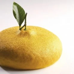 Moule Silicone Citron 1215 Ml Cédric Grolet Pavoni