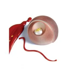 Moule Silicone Éclipse Ø 7,2 Cm X H 4,1 Cm (x24) Pavoflex
