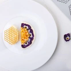 Moule Silicone Gourmand Rayon De Miel 6,7 X 6 X H 0,2 (x8) Pavoni -pavoni shop moule silicone gourmand rayon de miel 67 x 6 x h 02 x8 pavoni 2