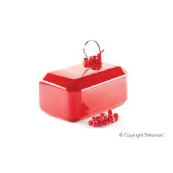 Moule Silicone Lingot Trésor 17x10,4 Cm SilikoMart Professional -pavoni shop moule silicone lingot tresor 17x104 cm silikomart professional 3