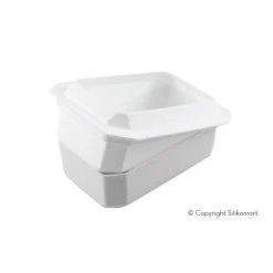 Moule Silicone Lingot Trésor 17x10,4 Cm SilikoMart Professional -pavoni shop moule silicone lingot tresor 17x104 cm silikomart professional 4