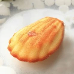 Moule Silicone Madeleine 7,8 X 4,5 Cm X H 1,8 Cm (x44) Pavoflex