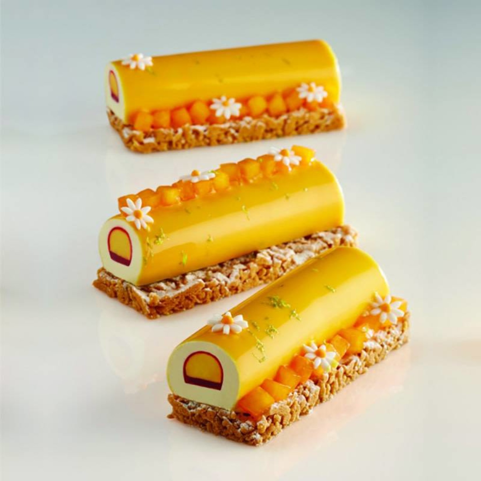 pavoni shop -pavoni shop pavoni3